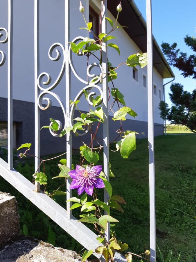 Axtburg Apartments Berbaltavar Экстерьер фото